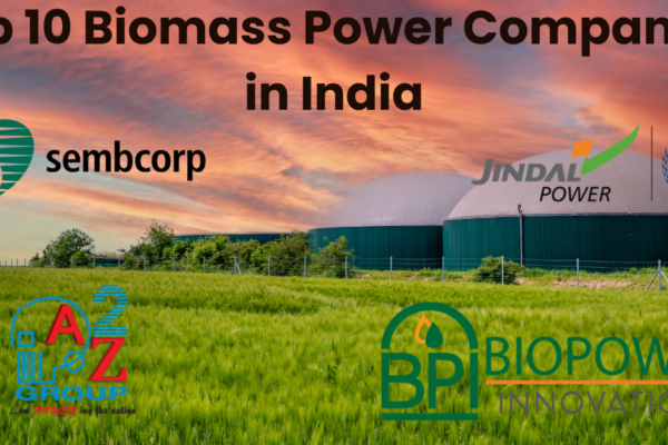 Top 10 Biomass Power Companies in India