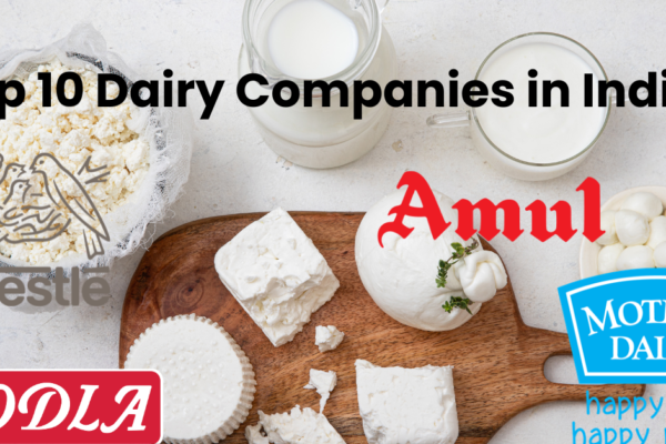 Top 10 Dairy Companies in India