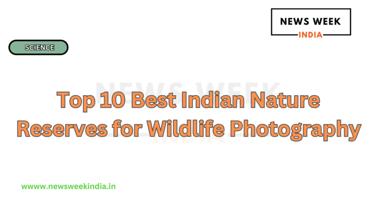 Top 10 Best Indian Nature Reserves for Wildlife Photography