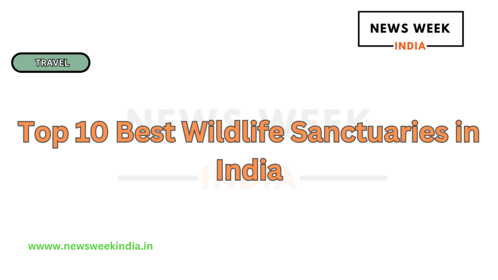 Top 10 Best Wildlife Sanctuaries in India