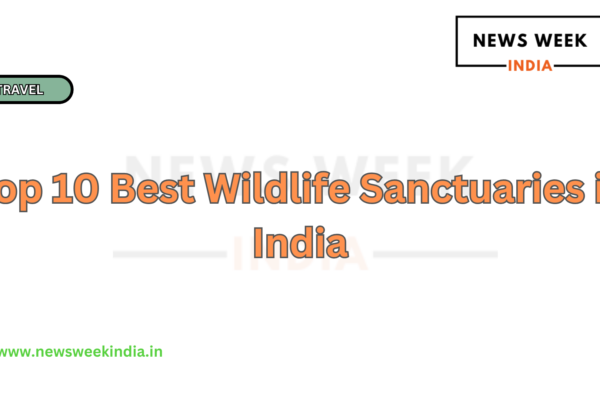 Top 10 Best Wildlife Sanctuaries in India