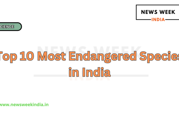 Top 10 Most Endangered Species in India