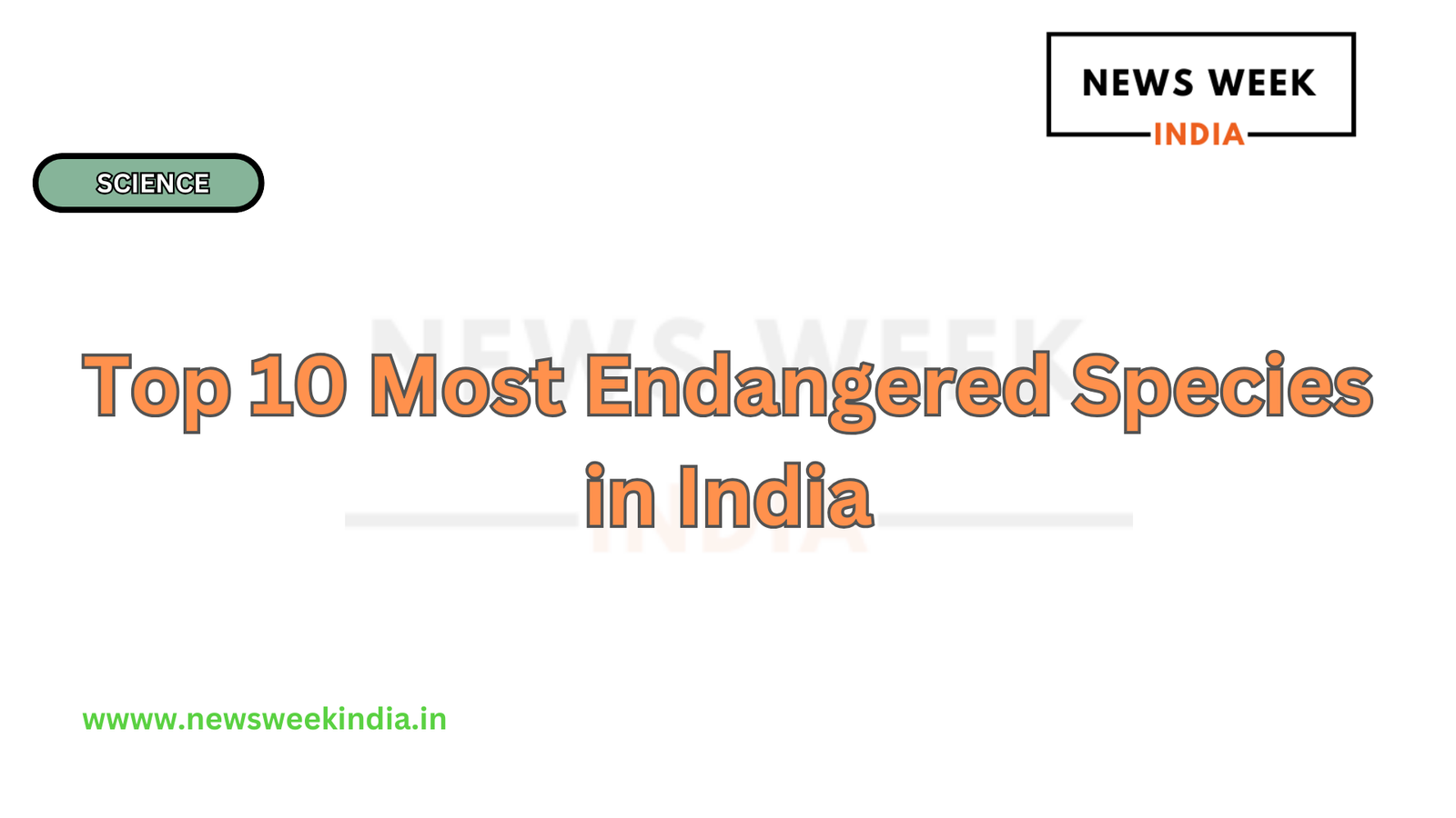 Top 10 Most Endangered Species in India